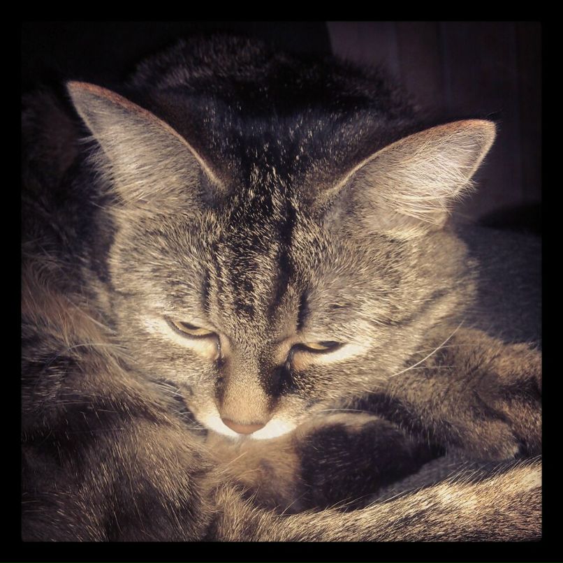 Игорь Теков фотография #11