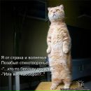 Фотография Самоволькиной Ирины