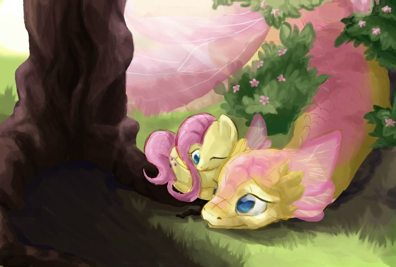 Fluttershy Pegas фотография #2