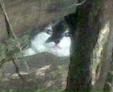 Марічка Ткач фотография #31 (источник - https://vk.com/id85134358)