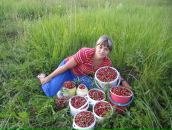 Фотография Аляпиной Екатерины