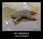 Фотография Нотова Александра