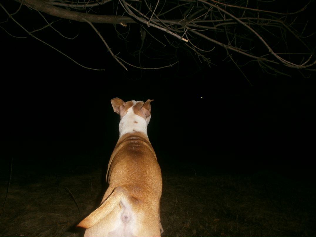 Роман Василенко фотография #41