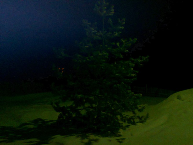 Дмитрий Халимов фотография #28