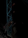 Лера Медянкіна фотография #21 (источник - https://vk.com/id130261797)
