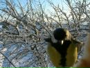 Фотография Гаркушиной Нелли