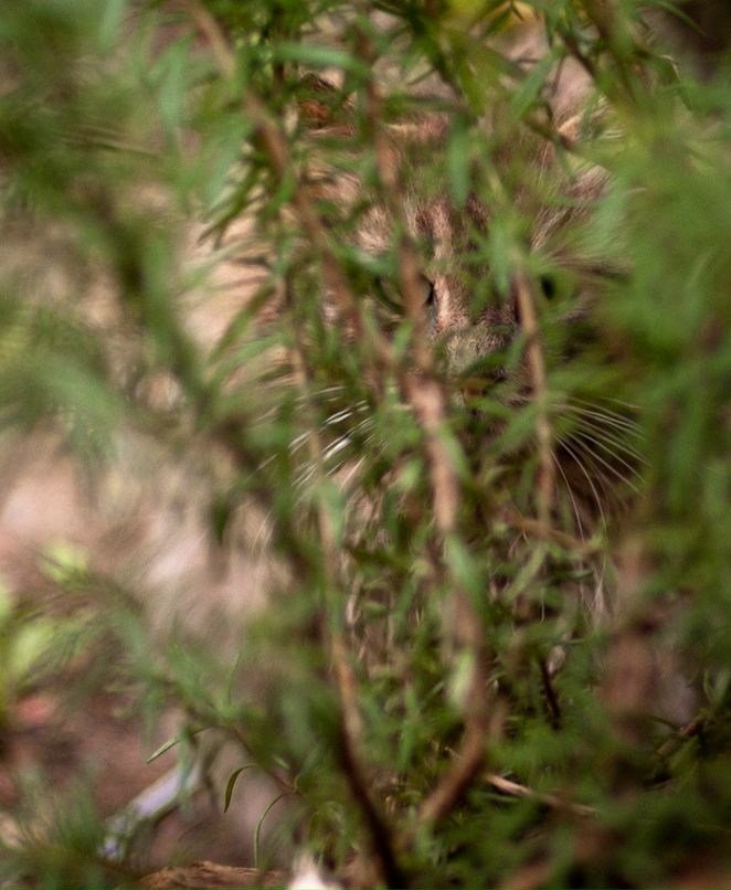 Дмитрий Арсентьев фотография #9