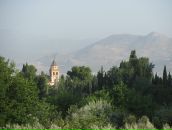 Иван Гришин фотография #41 (источник - https://vk.com/id3192283)