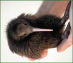 Фотография Матвеевой Виктории