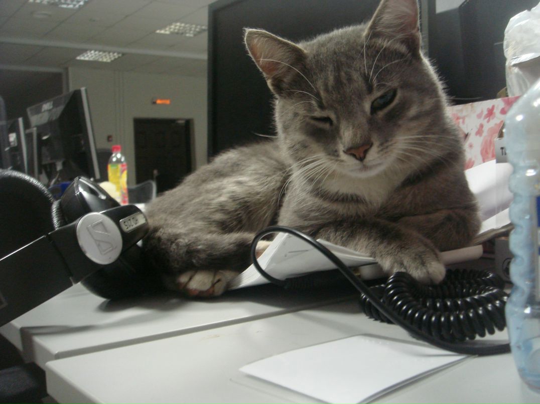 Tashka Woo фотография #24