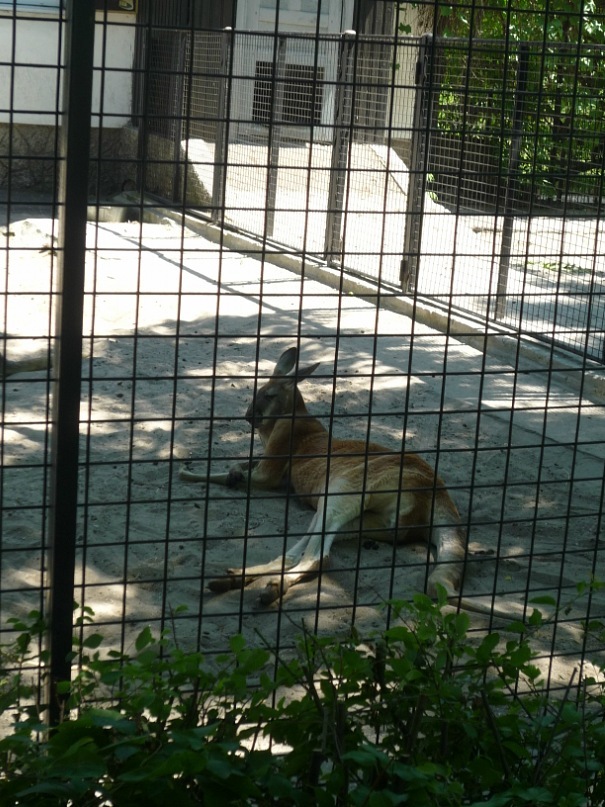 Катерина Латнер фотография #22