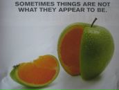 Анна Черняк фотография #14 (источник - https://vk.com/id542507)