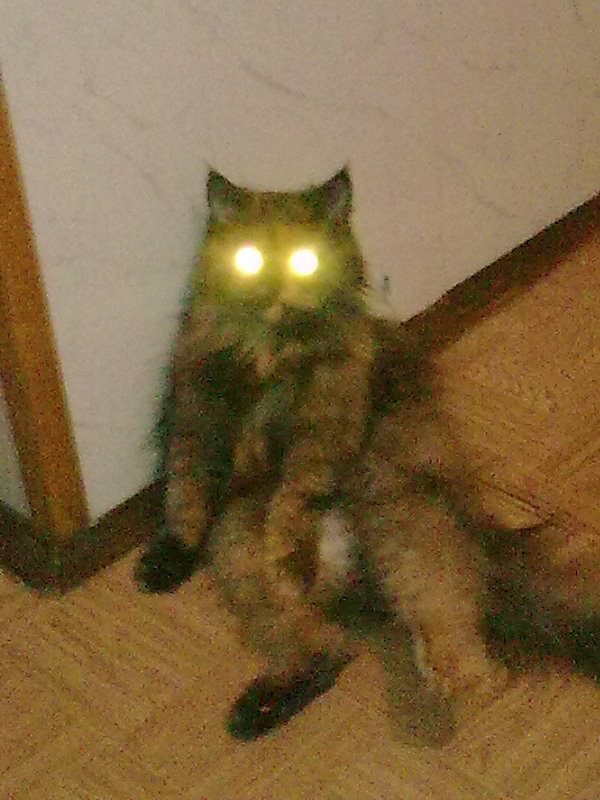 Batl Baton фотография #7