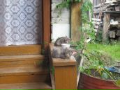 Фотография Корсаковой Ольги