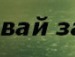 Ілля Маяков фотография #29 (источник - https://vk.com/id113656698)