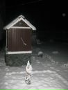 Віталік Гуменний фотография #32 (источник - https://vk.com/id50772117)