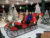 Аліна Антошкова фотография #40 (источник - https://vk.com/id71892407)