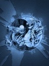 Андрій Поліщук фотография #25 (источник - https://vk.com/id95007200)