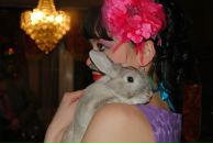 Фотография Видов Андрей