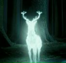 Фотография Турапина Юрия