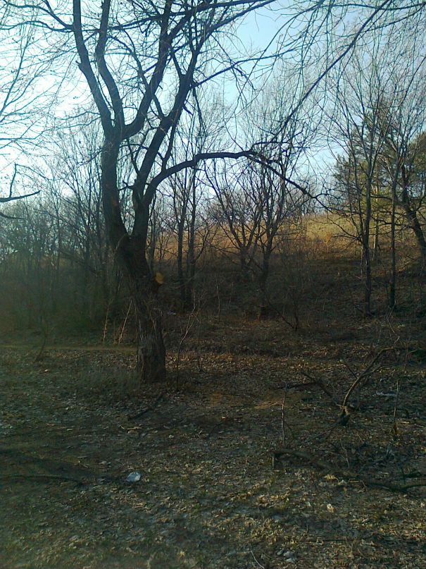 Дмитрий Лысов фотография #28