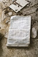 Дмитрий Леоненко фотография #33 (источник - https://vk.com/id7360077)