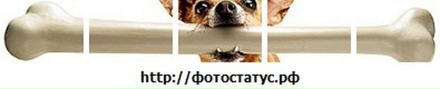 Юра Шумило фотография #19 (источник - https://vk.com/id30370290)