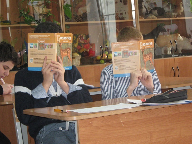 Дмитрий Гулиа фотография #29