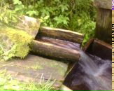 Фотография Угловой Марии