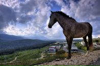 Фотография Корбукова Кузьмы