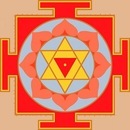 Фотография Трохина Максима