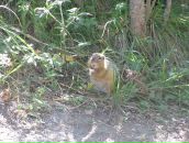 Фотография Сигитова Александра