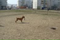 Влад Лазарєв фотография #48 (источник - https://vk.com/id37774731)