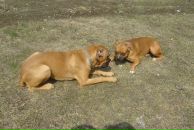 Влад Лазарєв фотография #44 (источник - https://vk.com/id37774731)