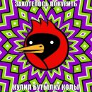 Фотография Круглова Дмитрия