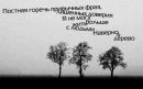 Фотография Деевой Насти