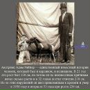 Андрій Мазепа фотография #29 (источник - https://vk.com/id89437312)