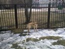 Дмитрий Емец фотография #32 (источник - https://vk.com/id358793)