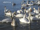 Ігор Обрин фотография #21 (источник - https://vk.com/id12181356)