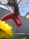 Андріана Білей фотография #9 (источник - https://vk.com/id41137665)