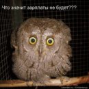 Фотография Кароль Дианы