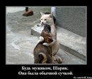 Своя Совесть фотография #1