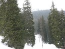 Лігерко Дмитро фотография #31 (источник - https://vk.com/id134888528)