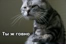 Аммм Софік фотография #6 (источник - https://vk.com/id160628685)