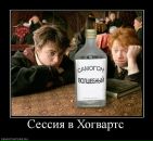 Максим Передерій фотография #19 (источник - https://vk.com/id99077372)