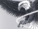 Діма Коваленко фотография #22 (источник - https://vk.com/id81146113)