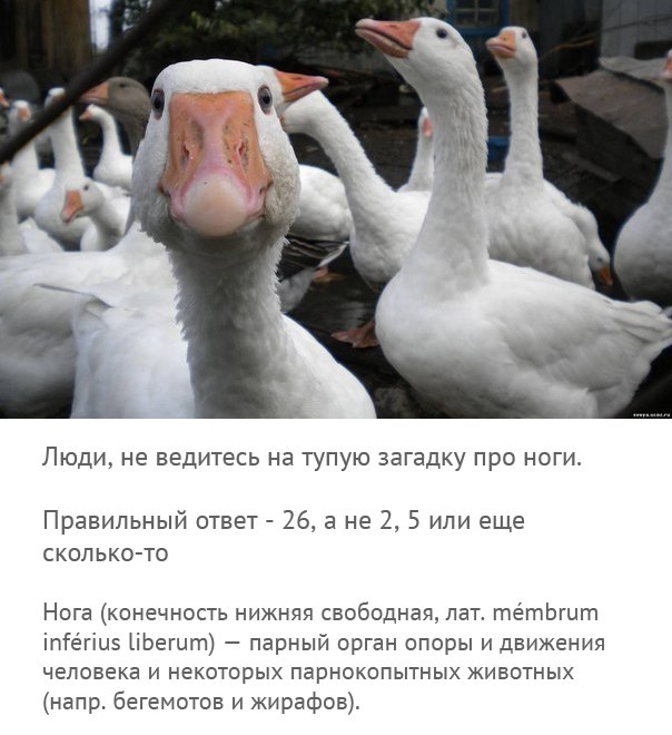 Дмитрий Шуваев фотография #11