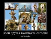 Віктор Павлюк фотография #34 (источник - https://vk.com/id15429783)