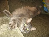 Фотография Лебедева Глеба