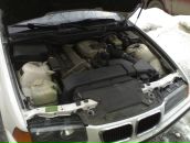 Роман Синицын фотография #47 (источник - https://vk.com/id4607794)